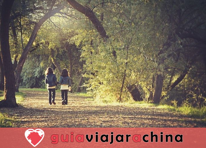 ¿Cómo hacer que su plan de viaje con los niños esté libre de estrés? 3