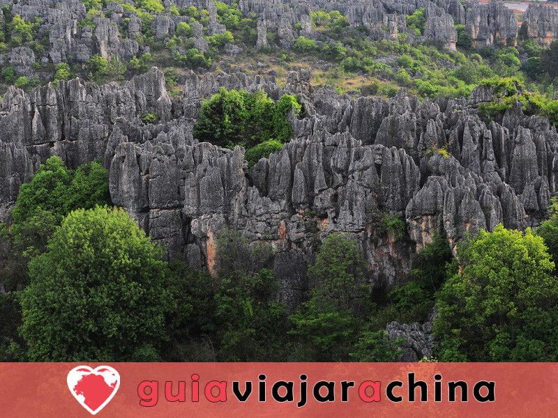 Bosque de Piedras de Kunming - primera maravilla del mundo 6