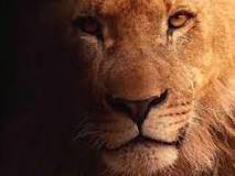 ¿Qué significa soñar con un león espiritualmente?