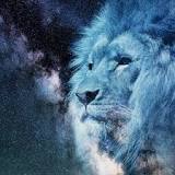 ¿Qué significa cada animal espiritualmente?