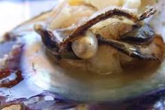 ¿Qué tipo de mineral es la perla?