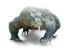 ¿Qué pasa si te muerde un dragón de Komodo?