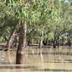 ¿Cuál es el río más caudaloso de Australia?