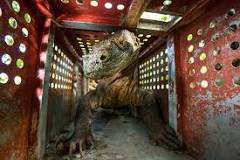 cuantos dragones de komodo hay en el mundo