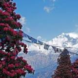 ¿Cuánto frío hace en el Himalaya?