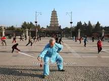 giant wild goose pagoda history