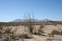 ¿Qué tan grande es el desierto de Gobi?