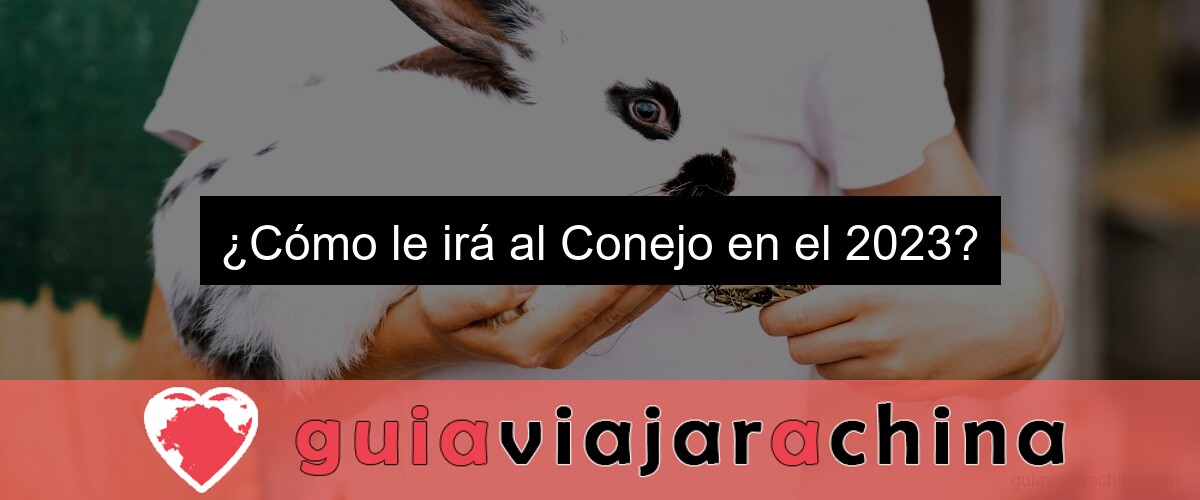 ¿Cómo le irá al Conejo en el 2023?