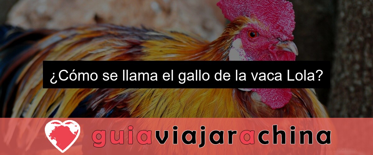 ¿Cómo se llama el gallo de la vaca Lola?