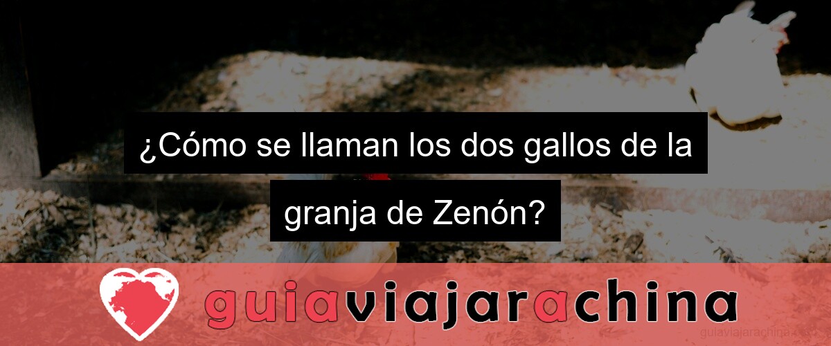 ¿Cómo se llaman los dos gallos de la granja de Zenón?