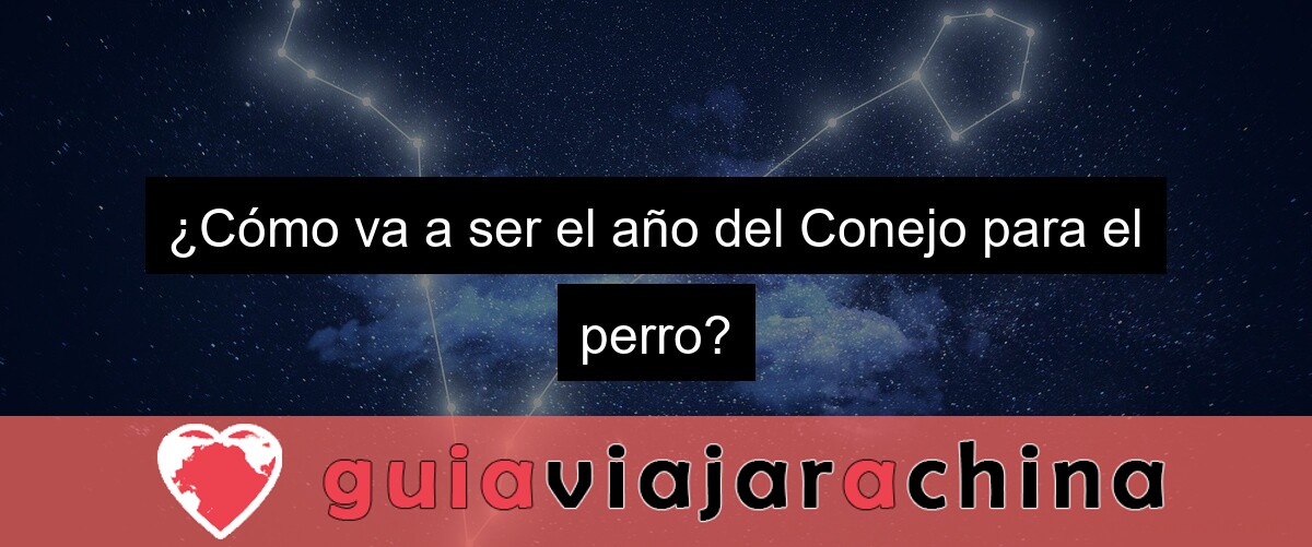 ¿Cómo va a ser el año del Conejo para el perro?