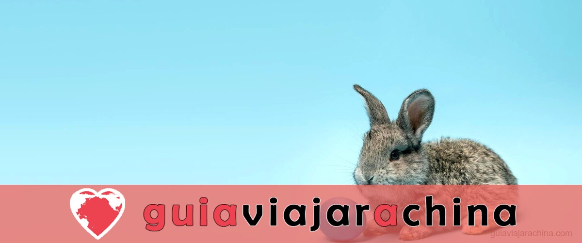 Año Nuevo del Conejo: predicciones y significado para el 2023 10