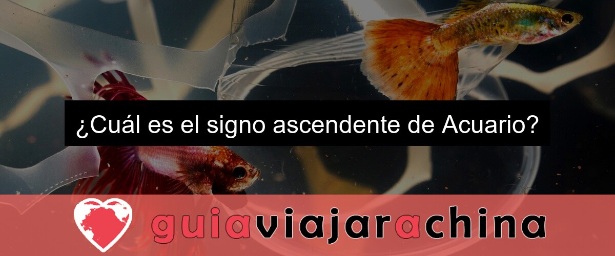¿Cuál es el signo ascendente de Acuario?