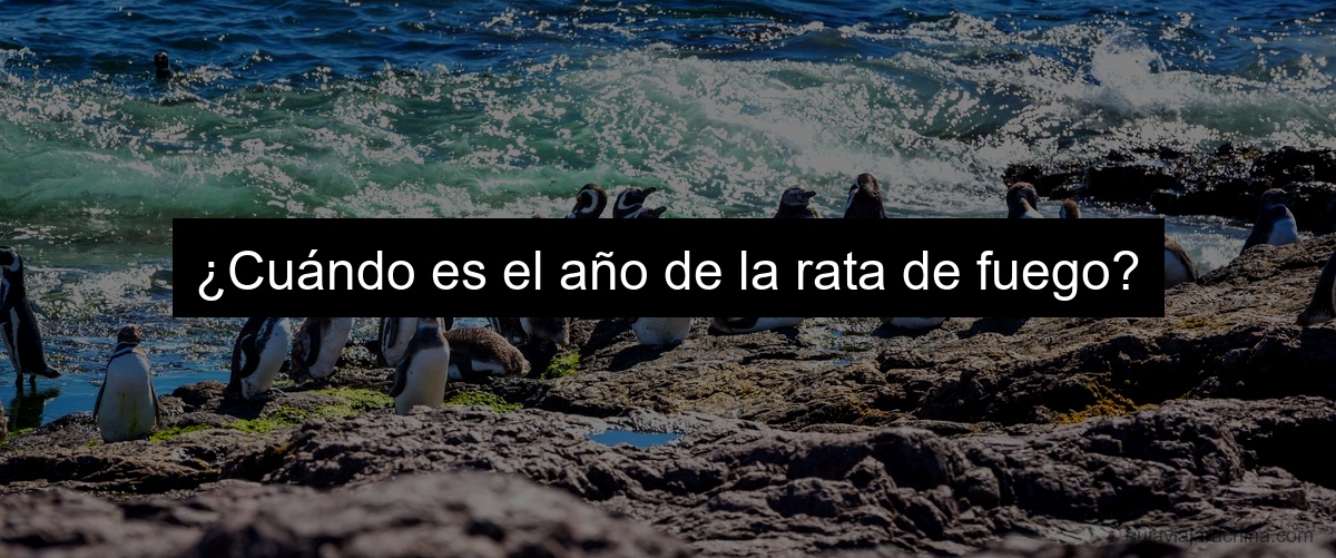 ¿Cuándo es el año de la rata de fuego?