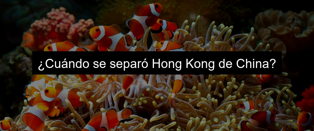 ¿Cuándo se separó Hong Kong de China?