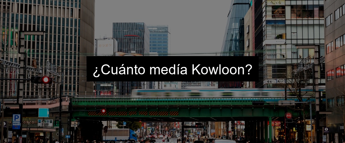 ¿Cuánto medía Kowloon?