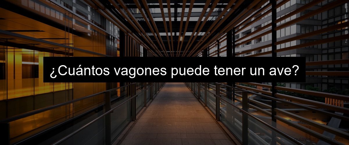 ¿Cuántos vagones puede tener un ave?