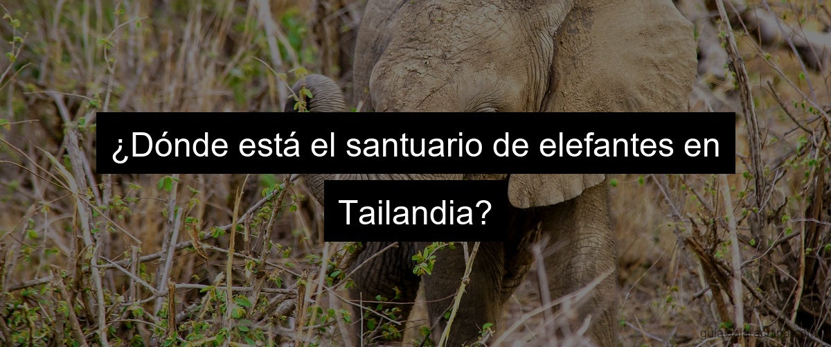¿Dónde está el santuario de elefantes en Tailandia?