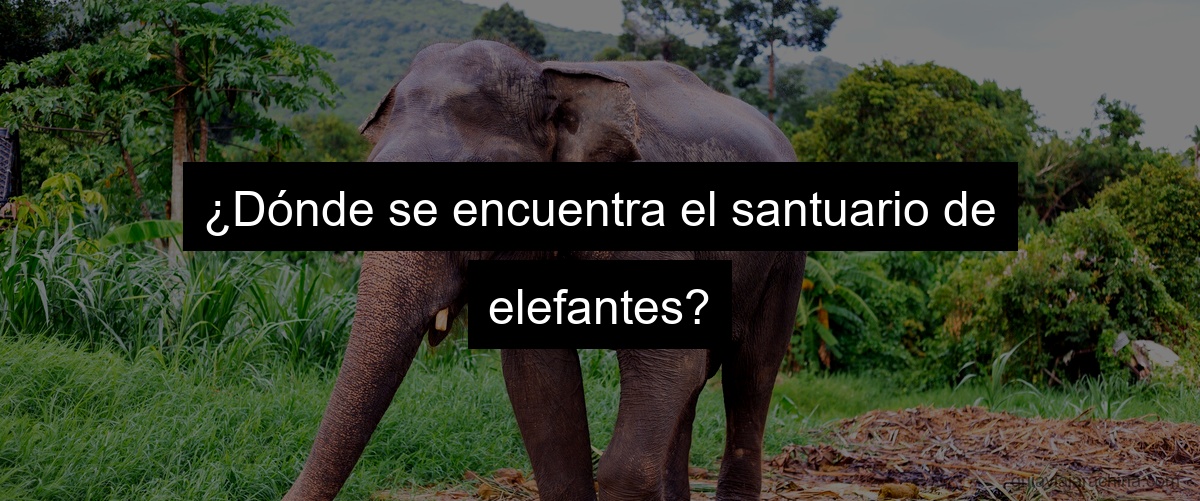 ¿Dónde se encuentra el santuario de elefantes?