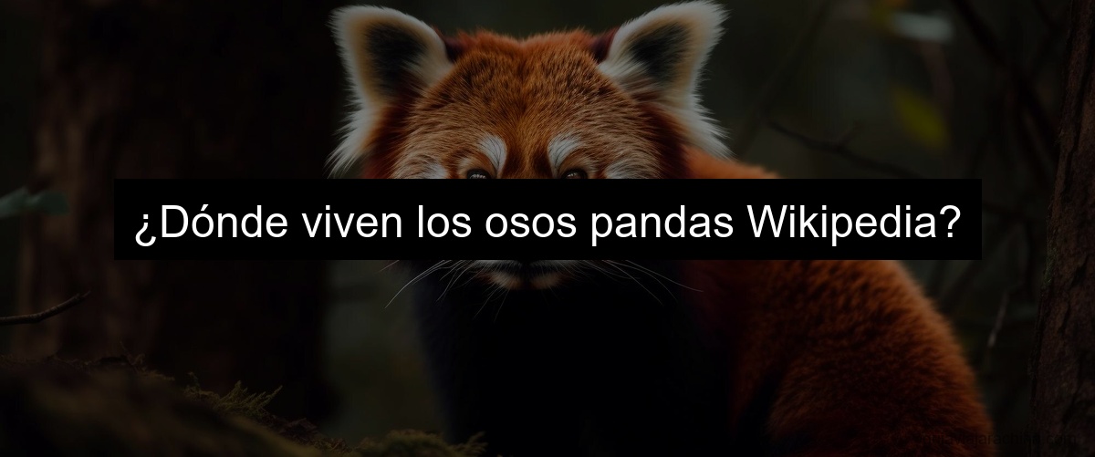 ¿Dónde viven los osos pandas Wikipedia?