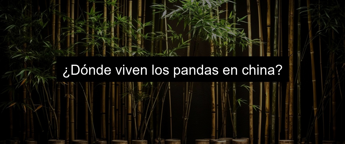 ¿Dónde viven los pandas en china?