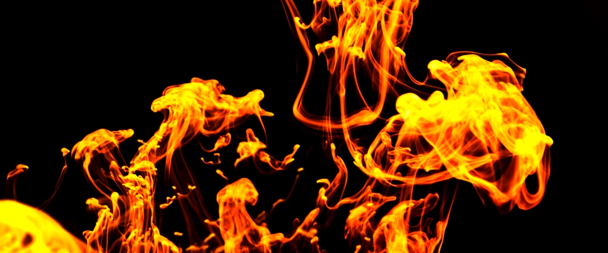 El año del Gallo de Fuego: predicciones y características del horóscopo chino 2023 8