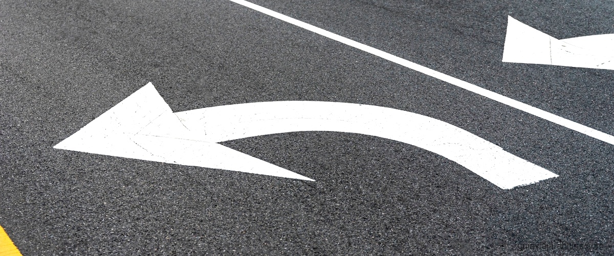 Línea de la vida bifurcada: descubriendo su significado 2