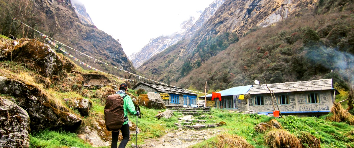 Norbulingka: Un viaje a la cultura tibetana 8