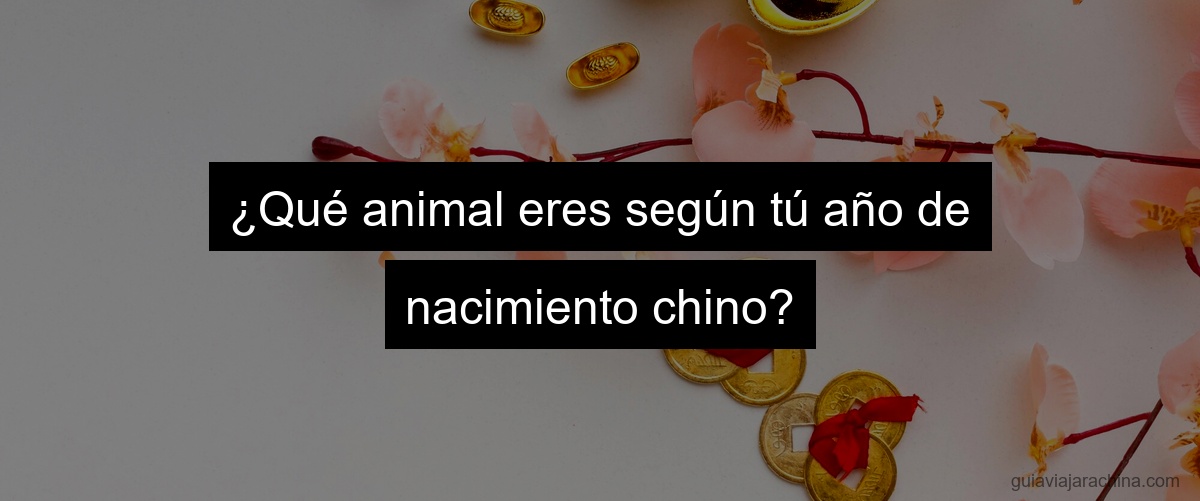 ¿Qué animal eres según tú año de nacimiento chino?