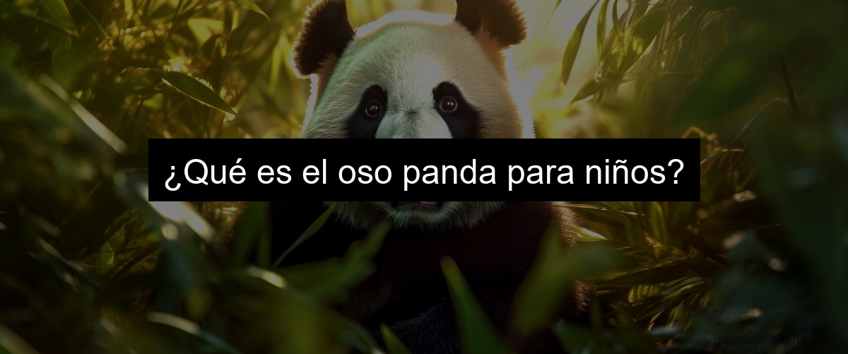 ¿Qué es el oso panda para niños?