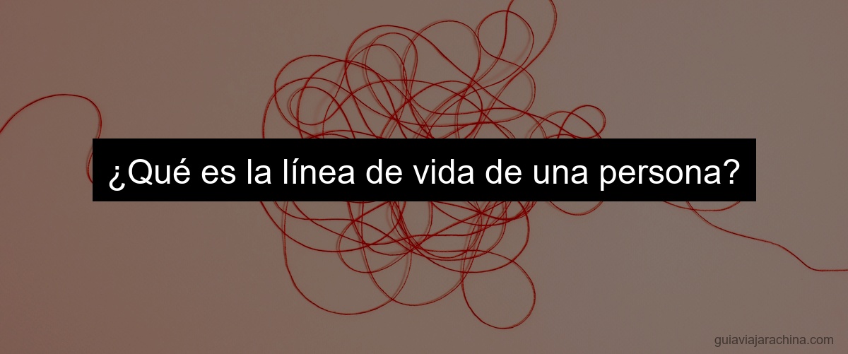 ¿Qué es la línea de vida de una persona?