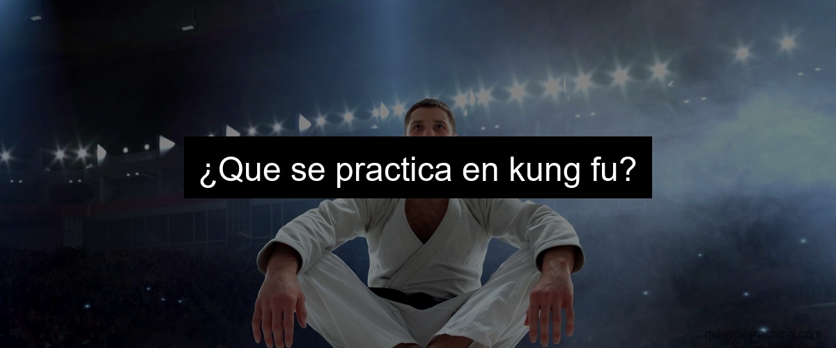 ¿Que se practica en kung fu?