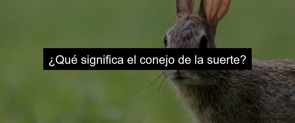 ¿Qué significa el conejo de la suerte?