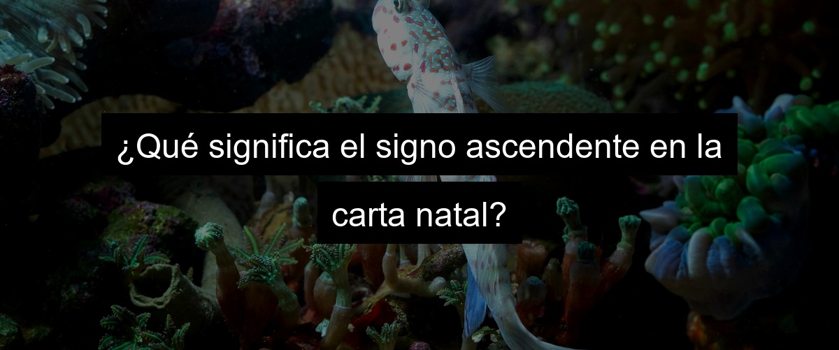 ¿Qué significa el signo ascendente en la carta natal?