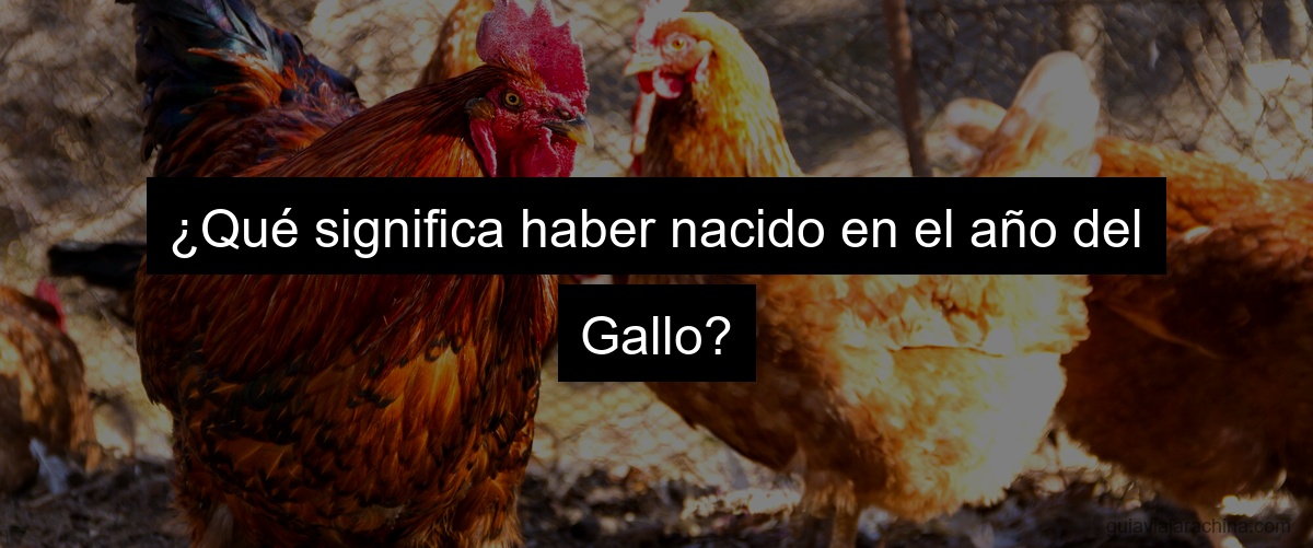 ¿Qué significa haber nacido en el año del Gallo?