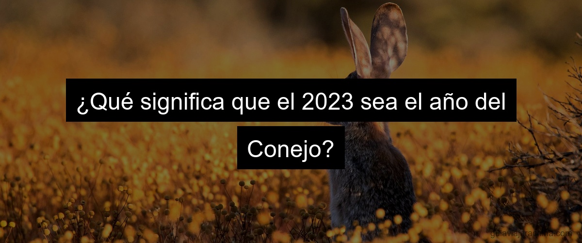 ¿Qué significa que el 2023 sea el año del Conejo?