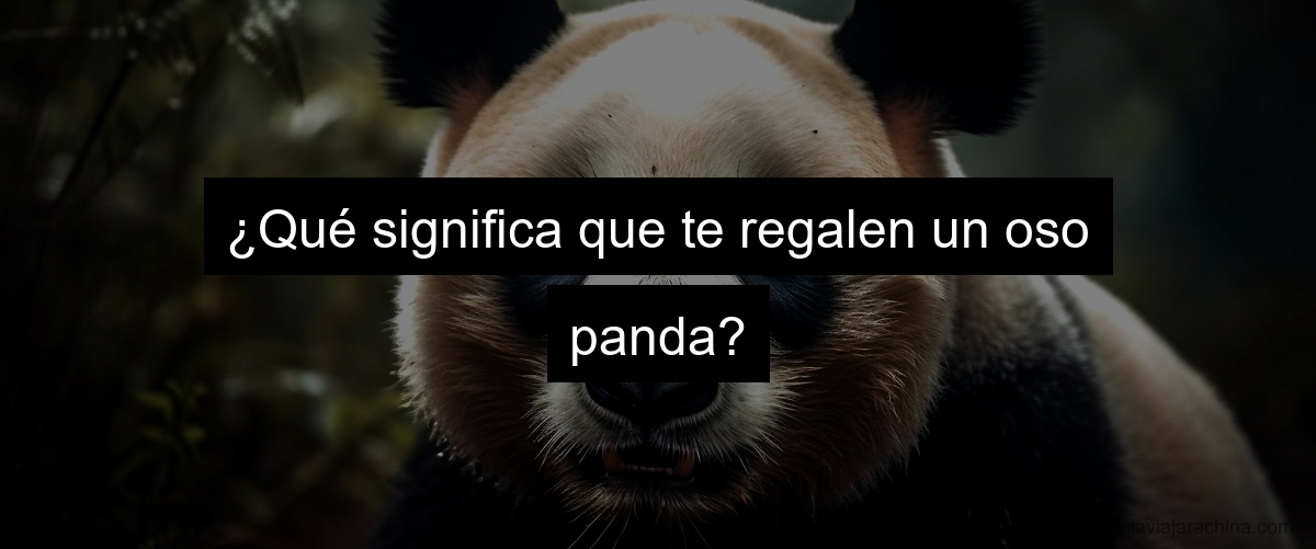 ¿Qué significa que te regalen un oso panda?