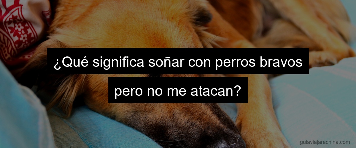 ¿Qué significa soñar con perros bravos pero no me atacan?