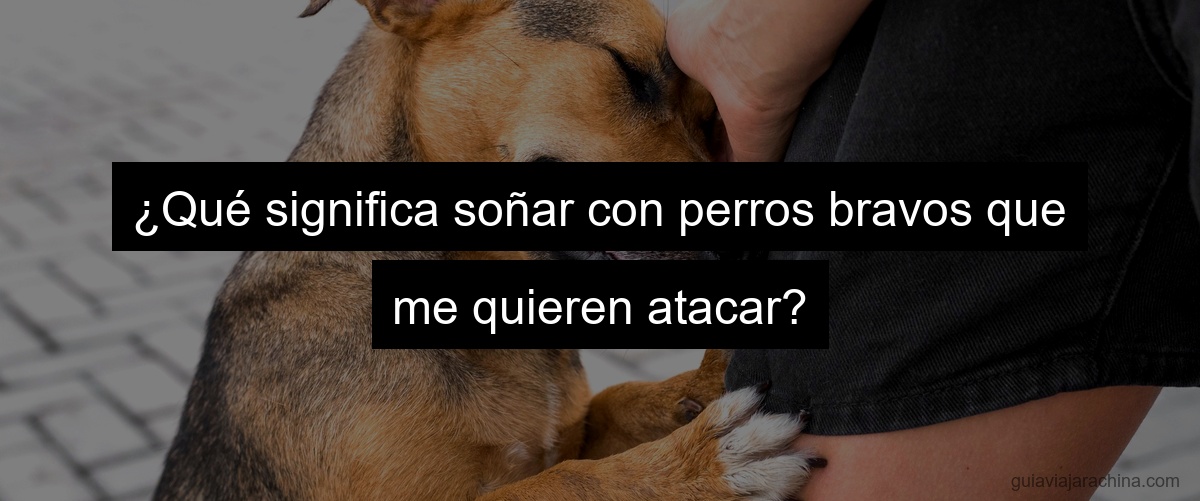 ¿Qué significa soñar con perros bravos que me quieren atacar?