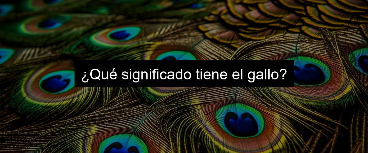 ¿Qué significado tiene el gallo?