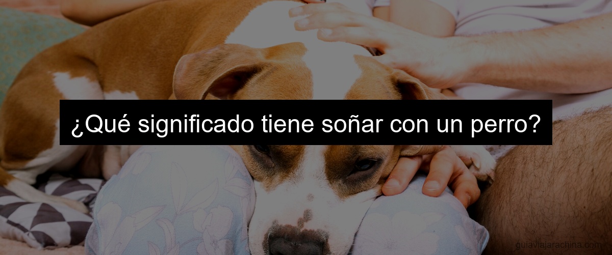 ¿Qué significado tiene soñar con un perro?