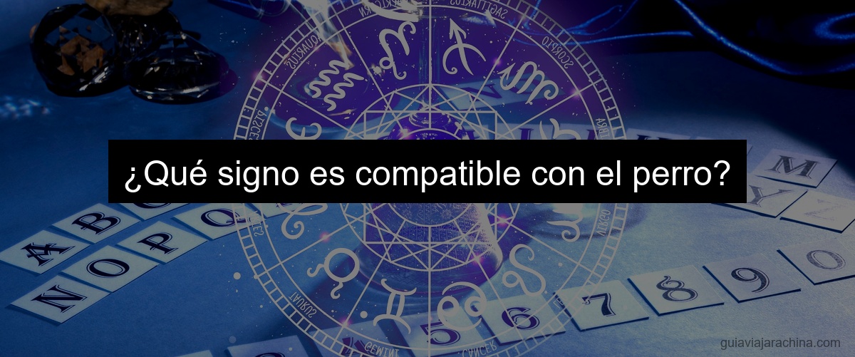 ¿Qué signo es compatible con el perro?