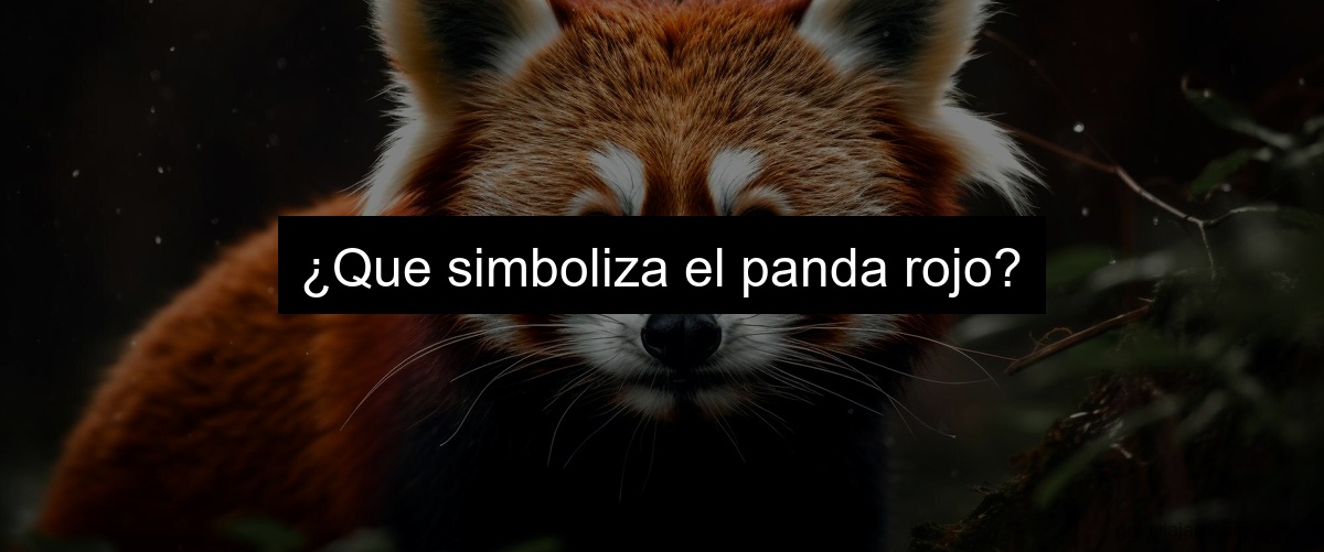 ¿Que simboliza el panda rojo?