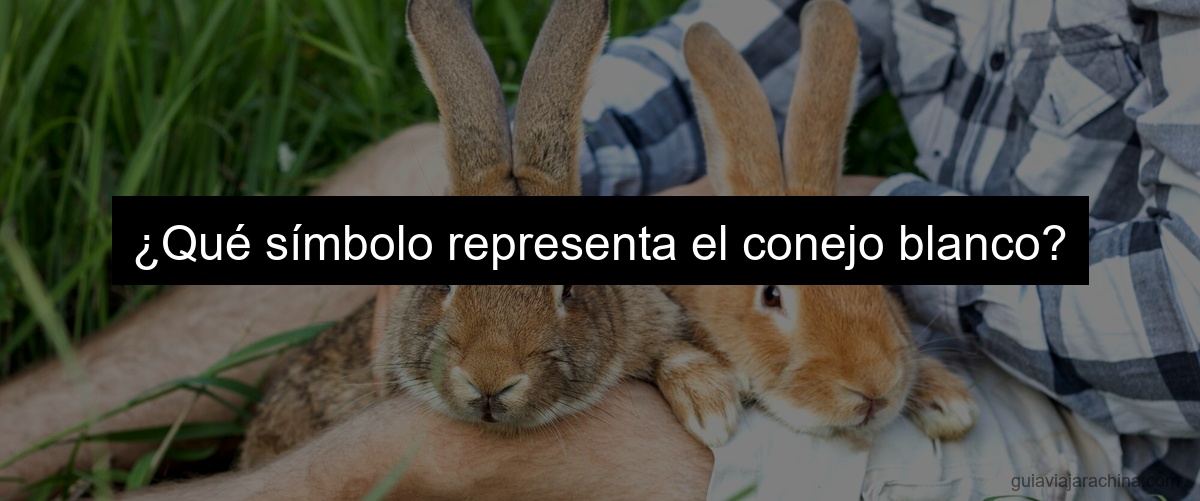 ¿Qué símbolo representa el conejo blanco?